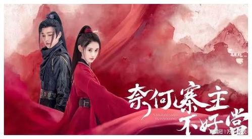 奈何寨主不好当,权谋与挑战并存的人生历程 第2张 奈何寨主不好当,权谋与挑战并存的人生历程 第2张