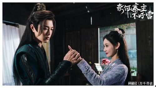 奈何寨主不好当,权谋与挑战并存的人生历程 第3张 奈何寨主不好当,权谋与挑战并存的人生历程 第3张